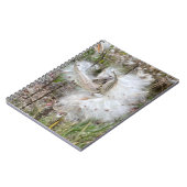 Open Milkweed Pods | Zaden met zijde | Spiraal Notitieboek (Linkerzijde)