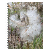 Open Milkweed Pods | Zaden met zijde | Spiraal Notitieboek (Voorkant)