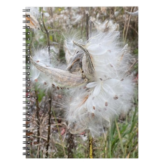 Open Milkweed Pods | Zaden met zijde | Spiraal Notitieboek (Voorkant)