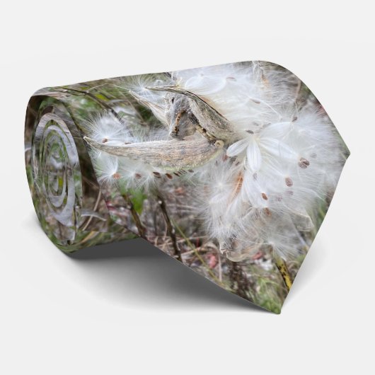 Open Milkweed Pods | Zaden met zijde | Stropdas (Opgerold)