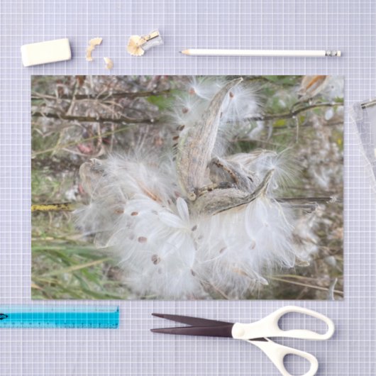 Open Milkweed Pods | Zaden met zijde | Tissuepapier (Craft)