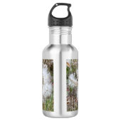 Open Milkweed Pods | Zaden met zijde | Waterfles (Voorkant)