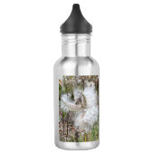 Open Milkweed Pods | Zaden met zijde | Waterfles (Links)