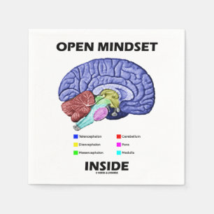 Open Mindset in Brain Psychology Humor Servet