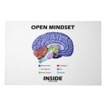 Open Mindset in de Humor van de anatomische hersen