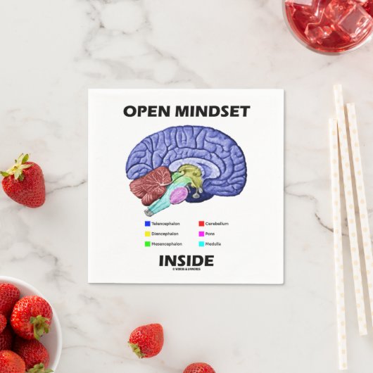 Open Mindset Inside Brain Psychology Humor Servet (Insitu)