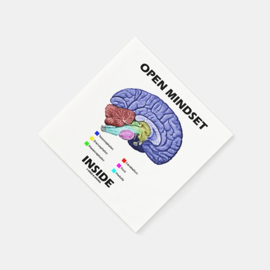 Open Mindset Inside Brain Psychology Humor Servet (Hoek)