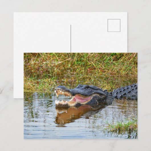 Open mond briefkaart (Voorkant / Achterkant)