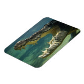 Open mond voor krokodillen magneet (Linkerzijde)