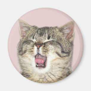 Open mondkitten magneet