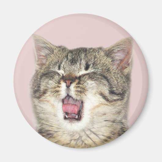 Open mondkitten magneet (Voorkant)