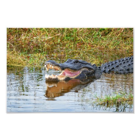 Open Mouth Foto Afdruk (Voorkant)