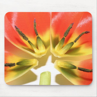 Open opnieuw geconstrueerde rode tulp muismat