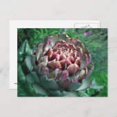 Open Plant Artichoke. Briefkaart (Voorkant / Achterkant)