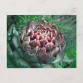 Open Plant Artichoke. Briefkaart (Voorkant)