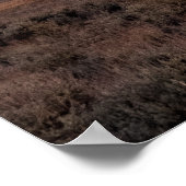 Open Prairie Grand Teton Poster (Hoek)