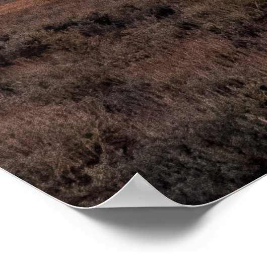 Open Prairie Grand Teton Poster (Hoek)