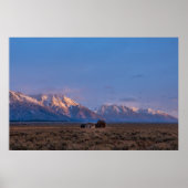 Open Prairie Grand Teton Poster (Voorkant)