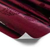 Open raam met uitzicht op het platteland en zonlic poster (Hoek)