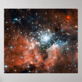 Open Star Cluster NGC 3603 Poster (Voorkant)