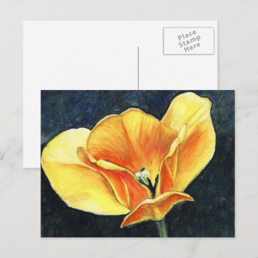Open Tulp Art Flower Art Reproduction Briefkaart (Voorkant / Achterkant)