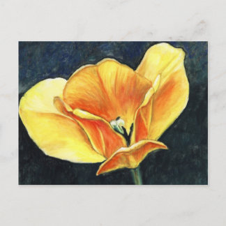 Open Tulp Art Flower Art Reproduction Briefkaart