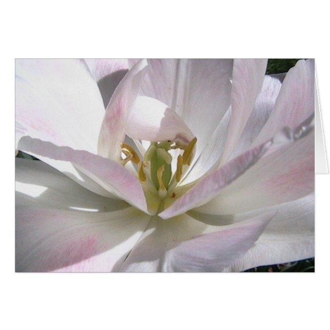 open uw geest (Voorkant Horizontaal)