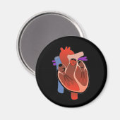 Open verwarmd magneet (Voorkant / Achterkant)