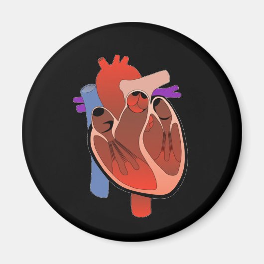 Open verwarmd magneet (Voorkant)