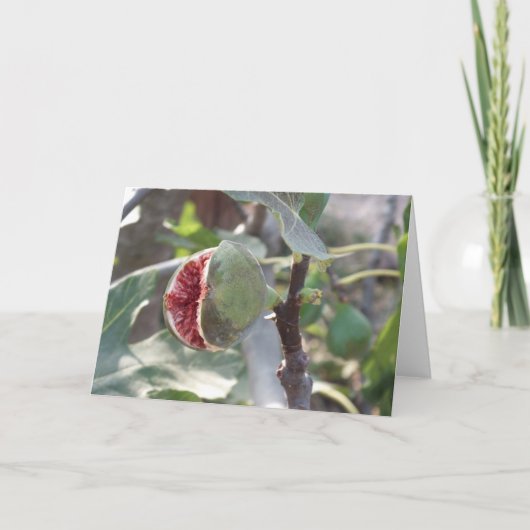 Open vijg op bomen in Spanje Feestdagen Kaart (Voorkant)
