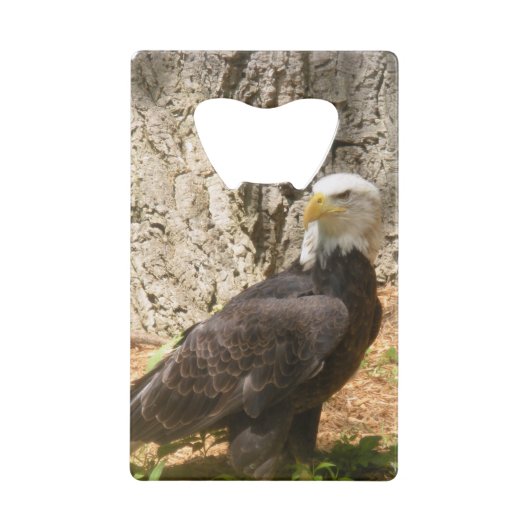 Open voor Amerikaanse flesfles met Bald Eagle Creditkaart Flessenopener (Achterkant)