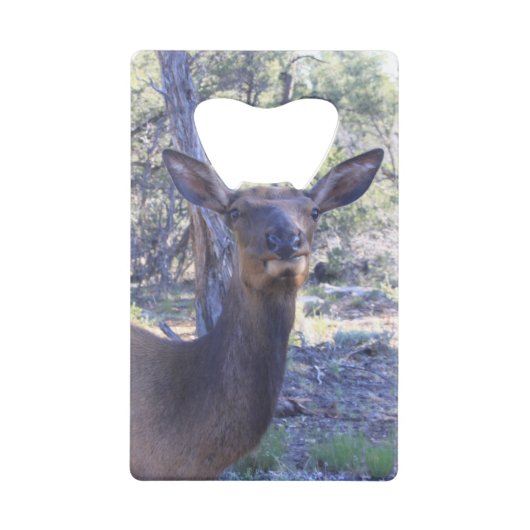 Open voor losse flessen creditkaart flessenopener (Voorkant)