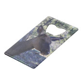 Open voor losse flessen creditkaart flessenopener (Achterkant Gekanteld)