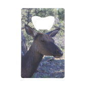 Open voor losse flessen creditkaart flessenopener (Achterkant)