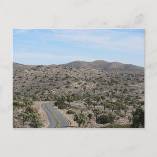 Open weg - Joshua Tree Briefkaart