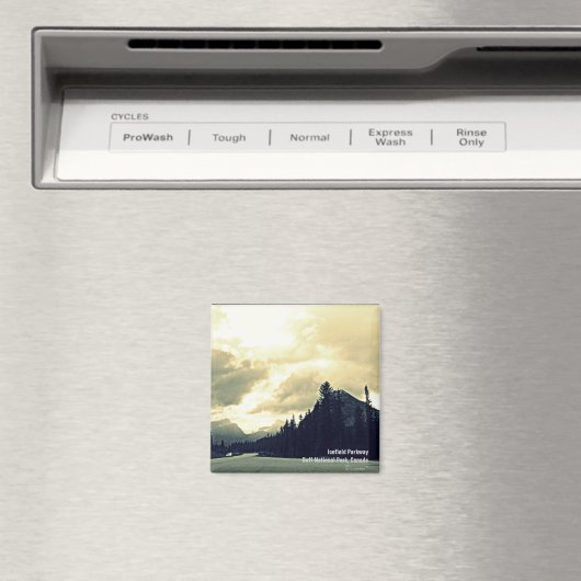 Open weg magneet (Insitu (Vaatwasser))