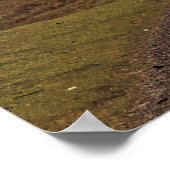 Open weg poster (Hoek)