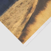 Open weg tissuepapier (Detail)