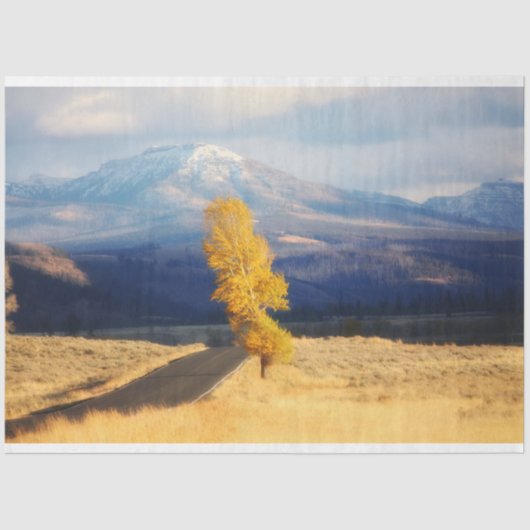 Open weg tissuepapier (Voorkant)