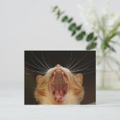 Open Wide Kat Yawning Briefkaart (Staand voorkant)