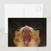 Open Wide Kat Yawning Briefkaart (Voorkant / Achterkant)