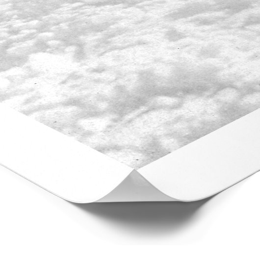 Openbare School Valdez, Alaska 1910 Poster (Hoek)