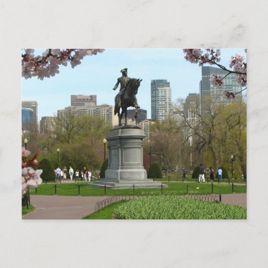 Openbare tuin Boston Massachusetts Briefkaart (Voorkant)
