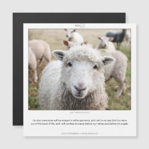 Openbaring 3:5 GODS BELOOFT SCRIPIX magneet kaart Magnetische Uitnodiging