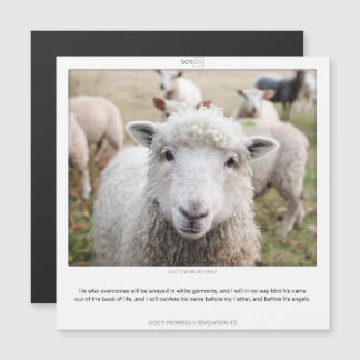 Openbaring 3:5 GODS BELOOFT SCRIPIX magneet kaart Magnetische Uitnodiging