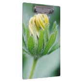 Openende Bloem Van Cone Bloem Klembord (Rechts)