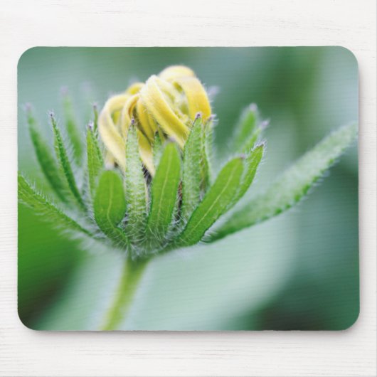 Openende Bloem Van Cone Bloem Muismat (Voorkant)