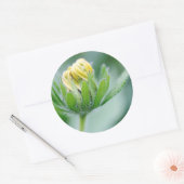 Openende Bloem Van Cone Bloem Ronde Sticker (Envelop)