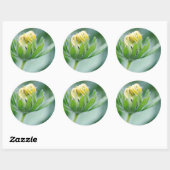 Openende Bloem Van Cone Bloem Ronde Sticker (Vel)