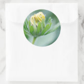 Openende Bloem Van Cone Bloem Ronde Sticker (Tas)